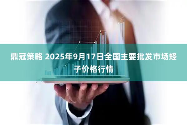 鼎冠策略 2025年9月17日全国主要批发市场蛏子价格行情