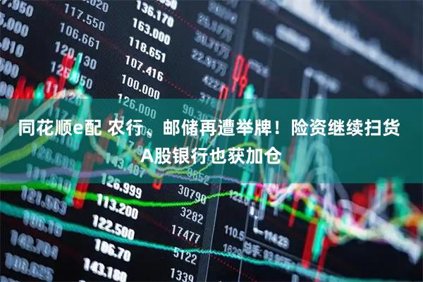 同花顺e配 农行、邮储再遭举牌！险资继续扫货 A股银行也获加仓