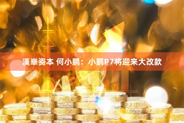 漢崋资本 何小鹏：小鹏P7将迎来大改款